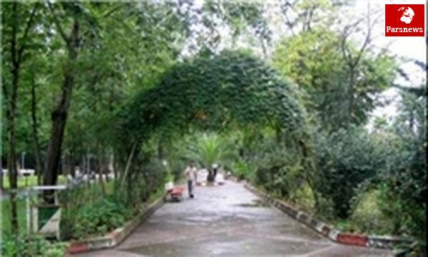 کاهش ۸ درجهای دما در سطح کشور
