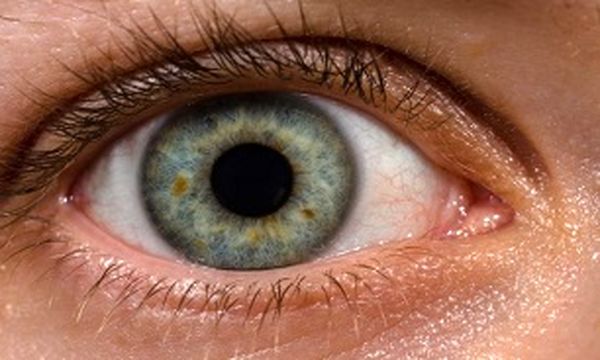 تشخیص زودهنگام پارکینسون از روی چشم