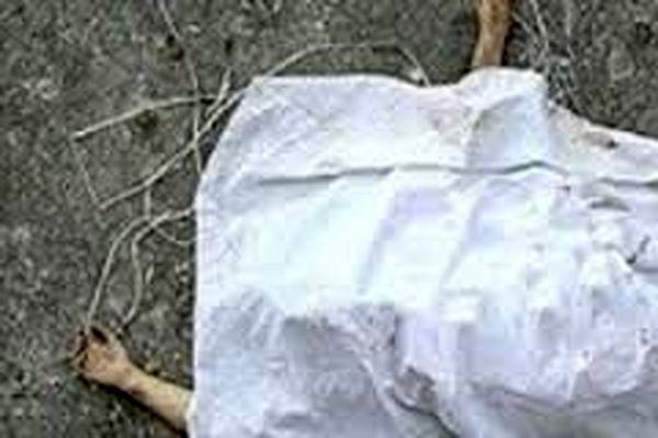 جنایت پشت درهای بسته یک شرکت