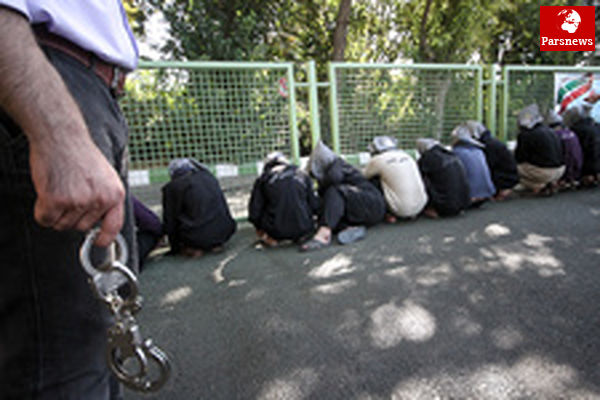 سارقانی که باگل وشیرینی به سرقت میروند!