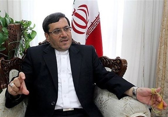 قشقاوی: ویزای اربعین تحت هیچ شرایطی برداشته نمیشود