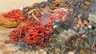 توقیف یک تن مواد غذایی فاسد در قم