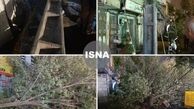 شکسته شدن تیر چراغ برق و درختان در تهران+عکس