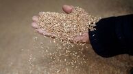 دیپلماسی غذایی اروپا برای رویارویی با کمبود و افزایش بهای مواد غذایی