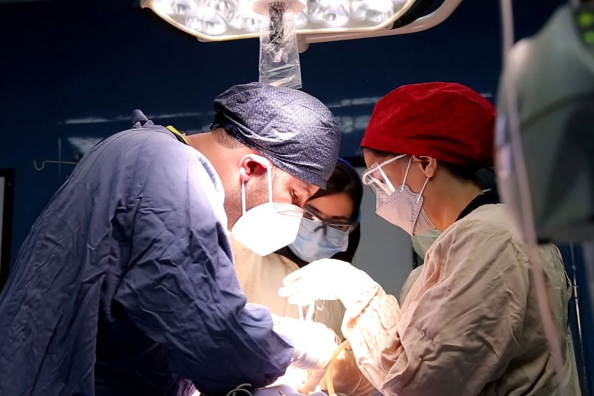 بهترین بیمارستان خصوصی درمان نازایی