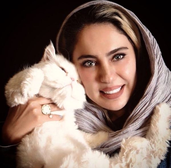 گربه سفید شیدا یوسفی + عکس