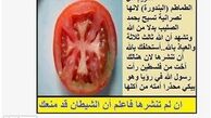 گوجه فرنگی میوه مسیحی است، نخورید+عکس