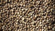 خواص گیاه شاهدانه 