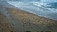 هنرنمایی بسیار شگفت‌انگیز با شن+ فیلم