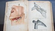 مدل ویزیت در ایران عوض می‌شود