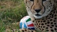 لباس تیم ملی فوتبال ایران با طرح یوز پلنگ آسیایی