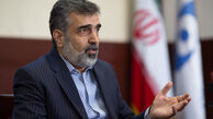 کمالوندی: بهترین آب سنگین دنیا را داریم

