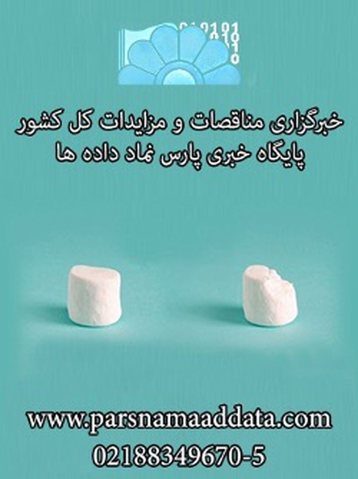 انتخاب کن! مارشمالو یا پنت هاوس