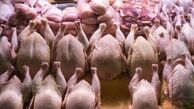 مرغ قطعه‌ بندی شده به عراق و افغانستان صادر می شود