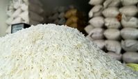 برنج ارزان شد + قیمت هرکیلو برنج ایرانی