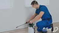 از همین حالا برای مبارزه با حشرات موزی مهیا شوید