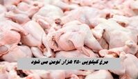 مرغ کیلویی ۲۵۰ هزار تومان می‌ شود