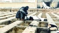 کالبدشکافی گورخوابی توسط وزیر رفاه