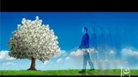 ضرورت پرداختن به مسئله‌ی سبک اقتصادی زندگی اسلامی