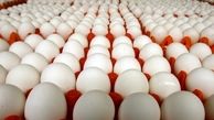بازار تخم مرغ باتوزیع محصولات وارداتی کنترل می‌شود