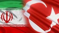 رئیس مجلس ترکیه وارد ایران شد
