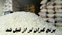 برنج گران‌ تر از قبل شد