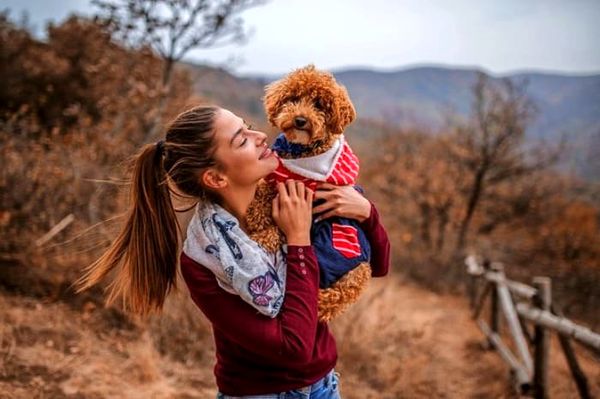 یک روز تعطیل را چگونه خوش بگذرونیم ؟