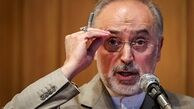 صالحی:وزارت خارجه پیگیر کارشکنی انگلیس در ورود 900 تن اورانیوم به کشور است