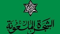 چرا رهبر معظم انقلاب از عبارت «شجره ملعونه» استفاده کردند؟