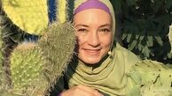 کاکتوس های زیبا خانه سحر ولدبیگی + عکس