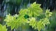 بارش باران از شنبه در پایتخت