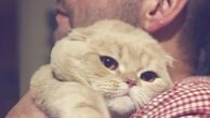 گربه لوس نیما شعبان نژاد + عکس
