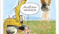 کاریکاتور:کشت خیارشور هم کلید خورد!