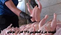 قیمت مرغ کیلویی 135 هزار تومان !