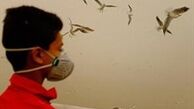 گرد و غبار در ۸ استان و کاهش دما
