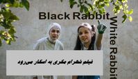 فیلم شهرام مکری به اسکار می‌رود