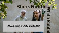 فیلم شهرام مکری به اسکار می‌رود