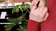 نویسندگی مهراوه شریفی نیا + عکس
