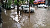 هواشناسی ایران ۹۹/۱/۲۹| پیش‌ بینی بارش‌های ۵ روزه در اکثر مناطق کشور

