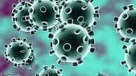 خبر خوش استاندار قم / به آرامش نسبی در کنترل بیماری کرونا ‌رسیده‌ایم
