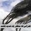 تهرانی ها منتظر باد شدید باشند