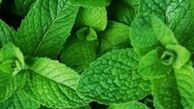 برای تقویت حافظه از این نوشیدنی استفاده کنید