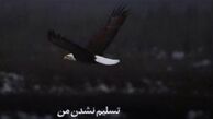 واکنش مجازی بازیکن محروم استقلال در مقابل تصمیم فتحی