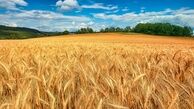 طرح قرارداد مزرعه مزیت های فراوانی دارد