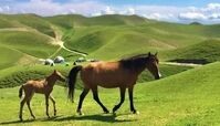 بهترین مقاصد سفر در عید 1402 و راهنمای سفر نوروزی