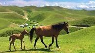بهترین مقاصد سفر در عید 1402 و راهنمای سفر نوروزی