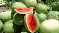 همسر میوه فروش در قتل شوهرش دست داشت
