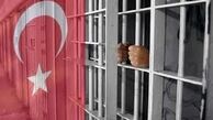 بازداشت 29 مظنون داعشی در ترکیه