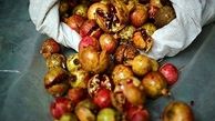 فواید پوست انار خشک شده 