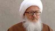 وزیر نیرو با آیت‌الله وحید خراسانی دیدار کرد